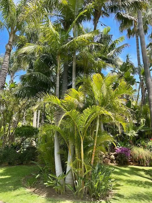 Villa Grand Mansion With Tropical Park Marbella 0*,